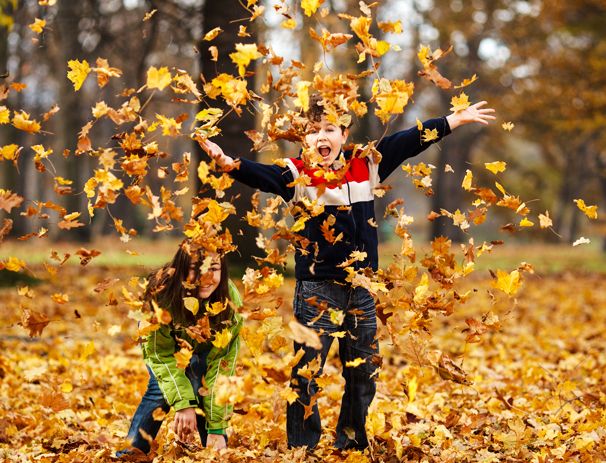 В объективе осень
