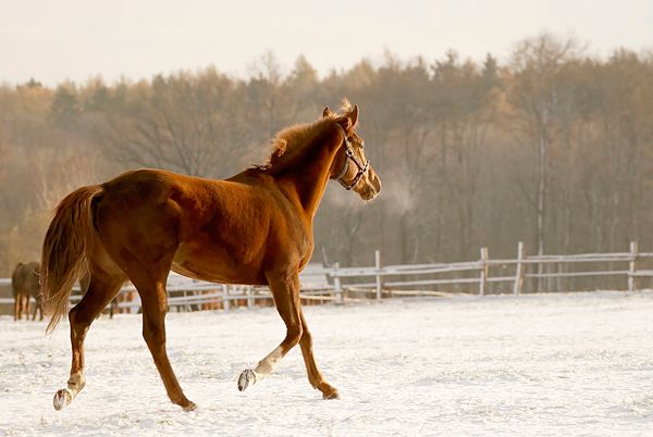 4К: для видео и для фото